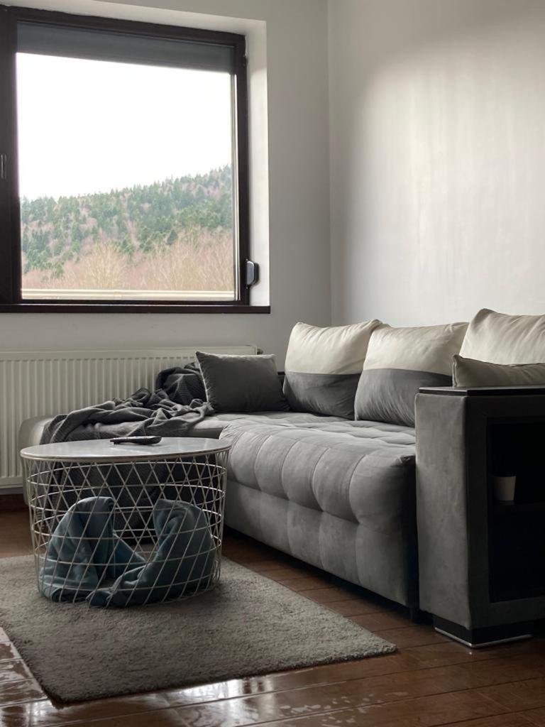 Relax View Ap With Private Parking Apartment Sinaia Exterior foto